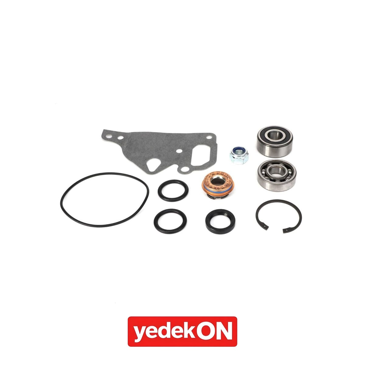 AGCO Su Pompası Onarım Kiti - Valtra | V836762748