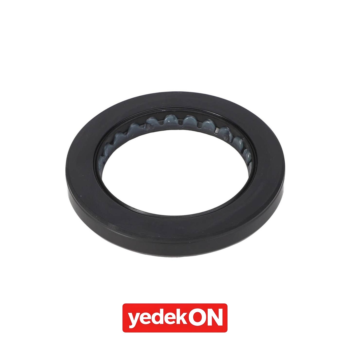 AGCO Keçe - Massey Ferguson | 1077666M1