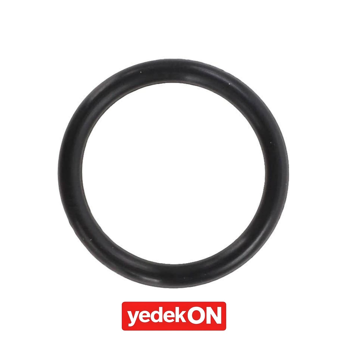 AGCO O-Ring - Challenger | X548841666000