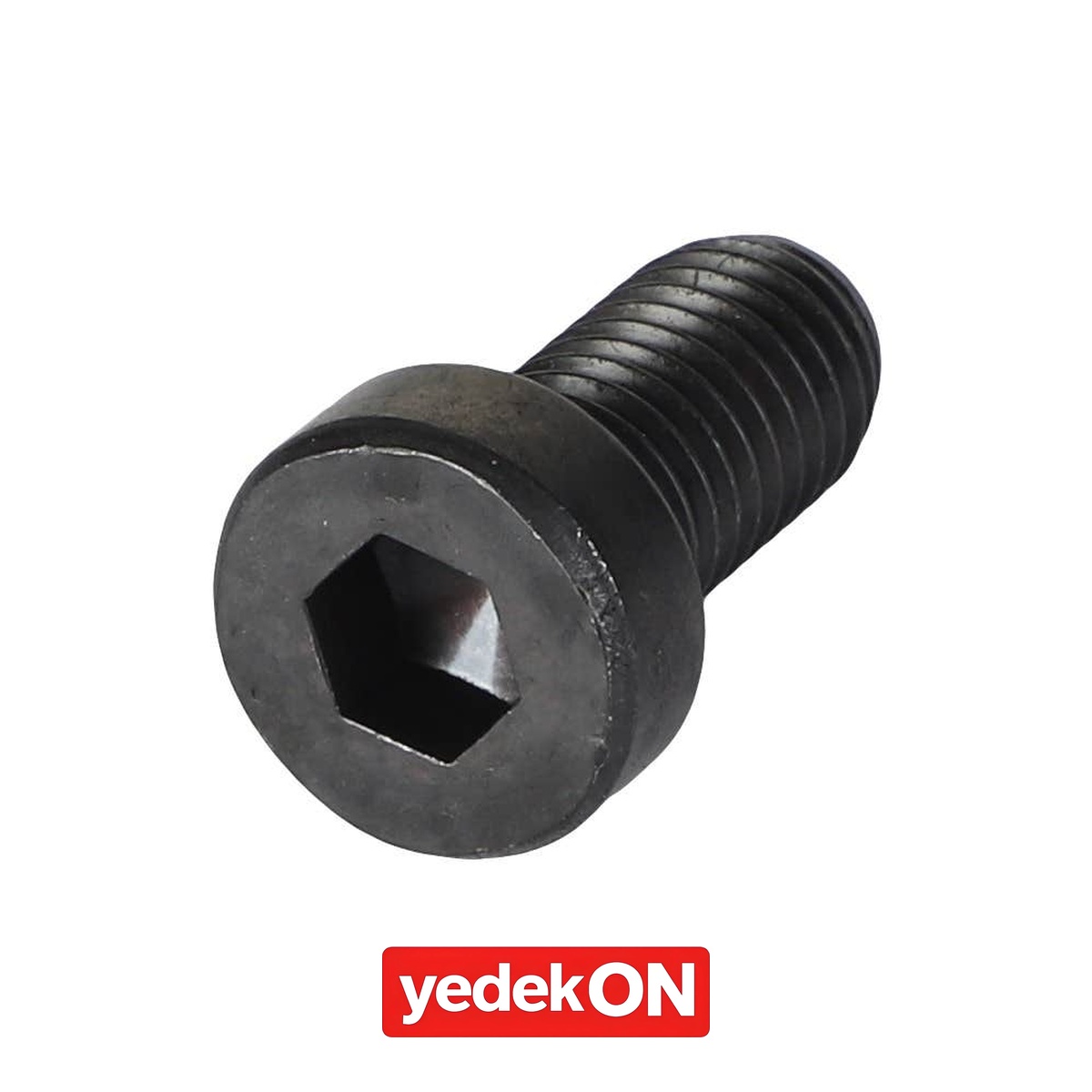 AGCO Altıgen Başlı Cıvata - Valtra | V31954300