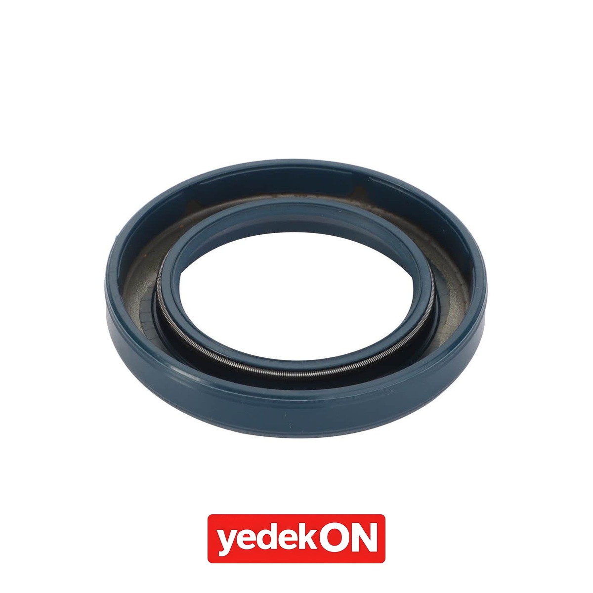 AGCO Radyal Keçe - Massey Ferguson | 3389614M1