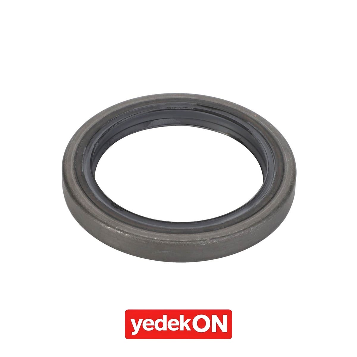 AGCO Keçe - Massey Ferguson | 3389613M2