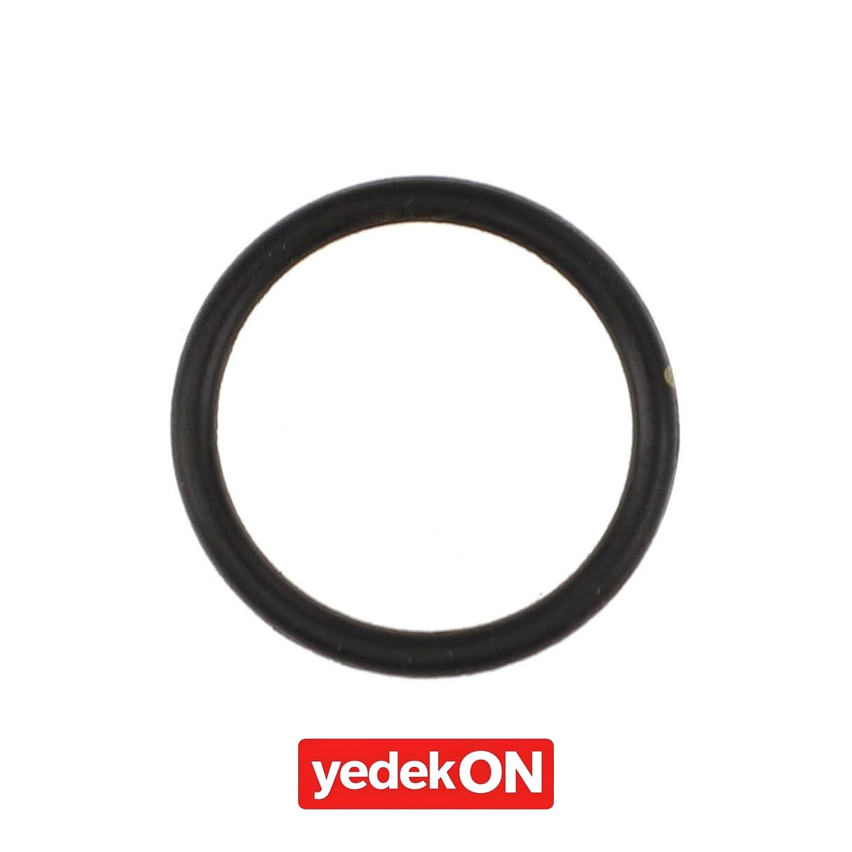 AGCO O-Ring - Massey Ferguson | 3907409M1
