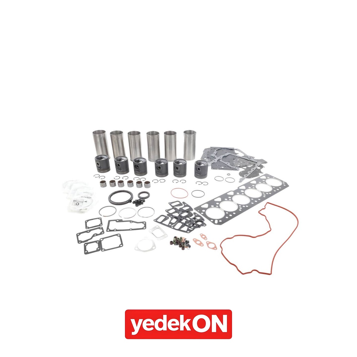 AGCO Motor Revizyon Kiti - Massey Ferguson | 3931495M91