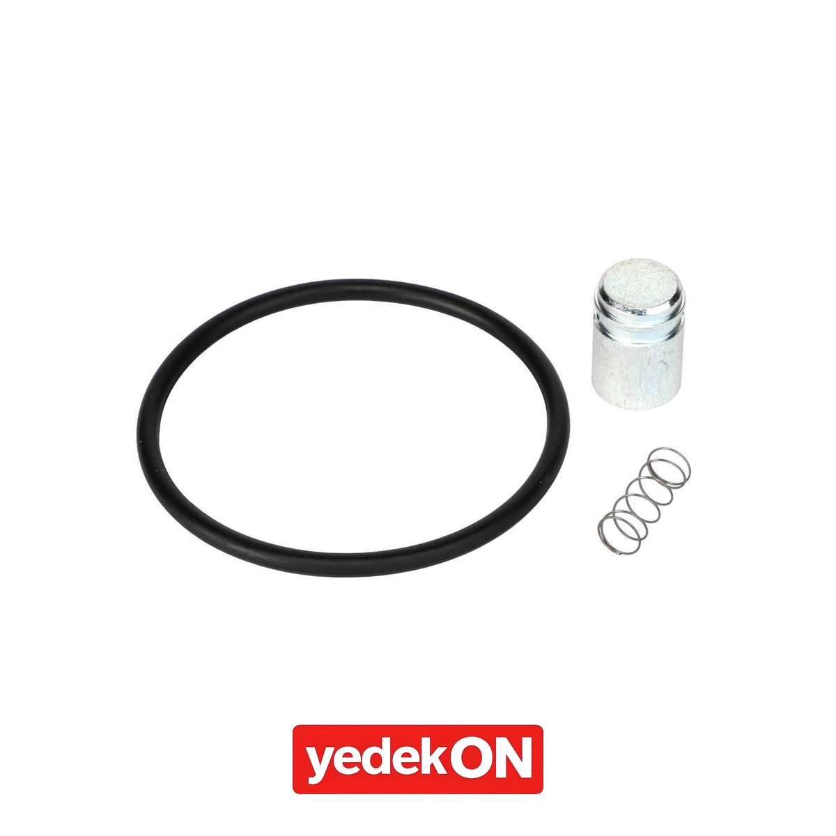 AGCO Keçe Takımı - Massey Ferguson | 3909836M91