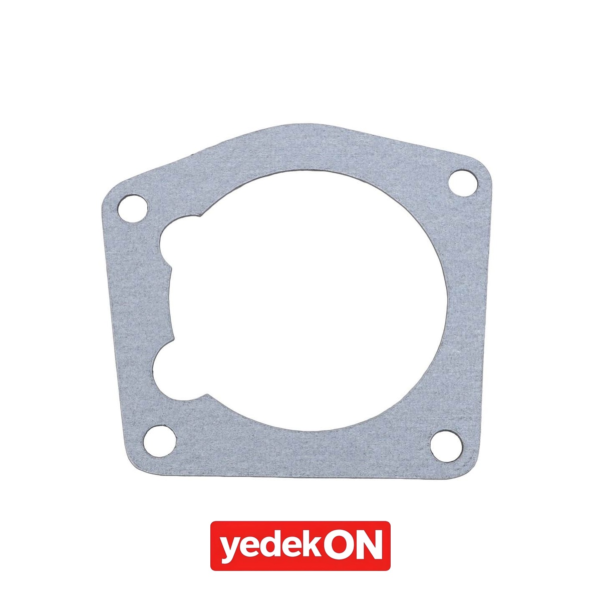 AGCO Eklem - Massey Ferguson | 3905298M1