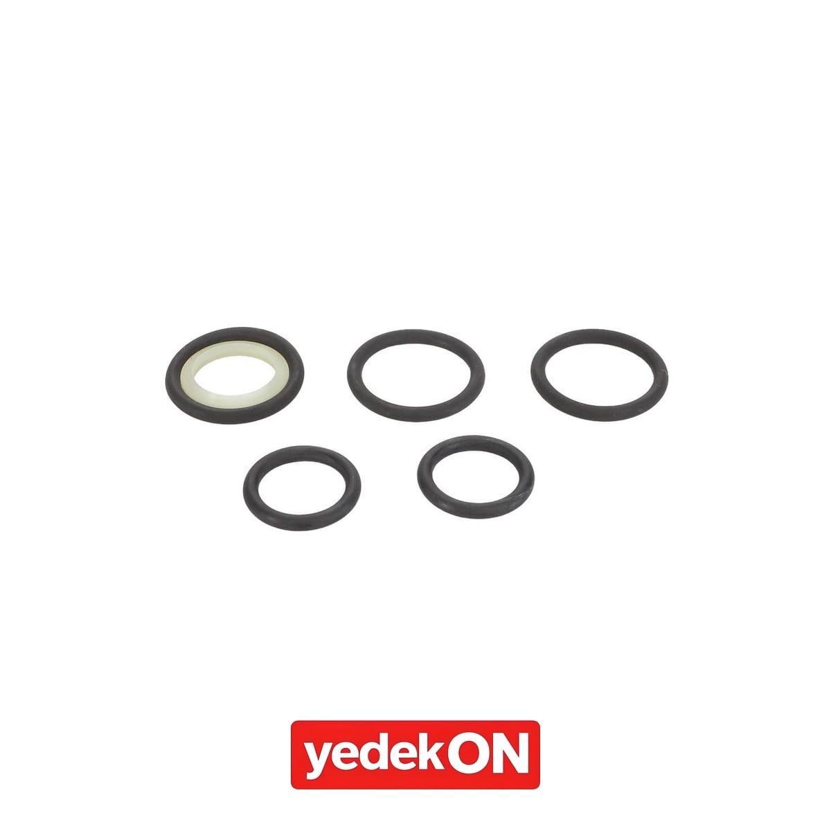 AGCO Keçe Takımı - Massey Ferguson | 3909879M91