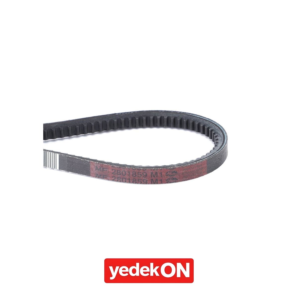 AGCO V-Kayış - Massey Ferguson | 2801859M1