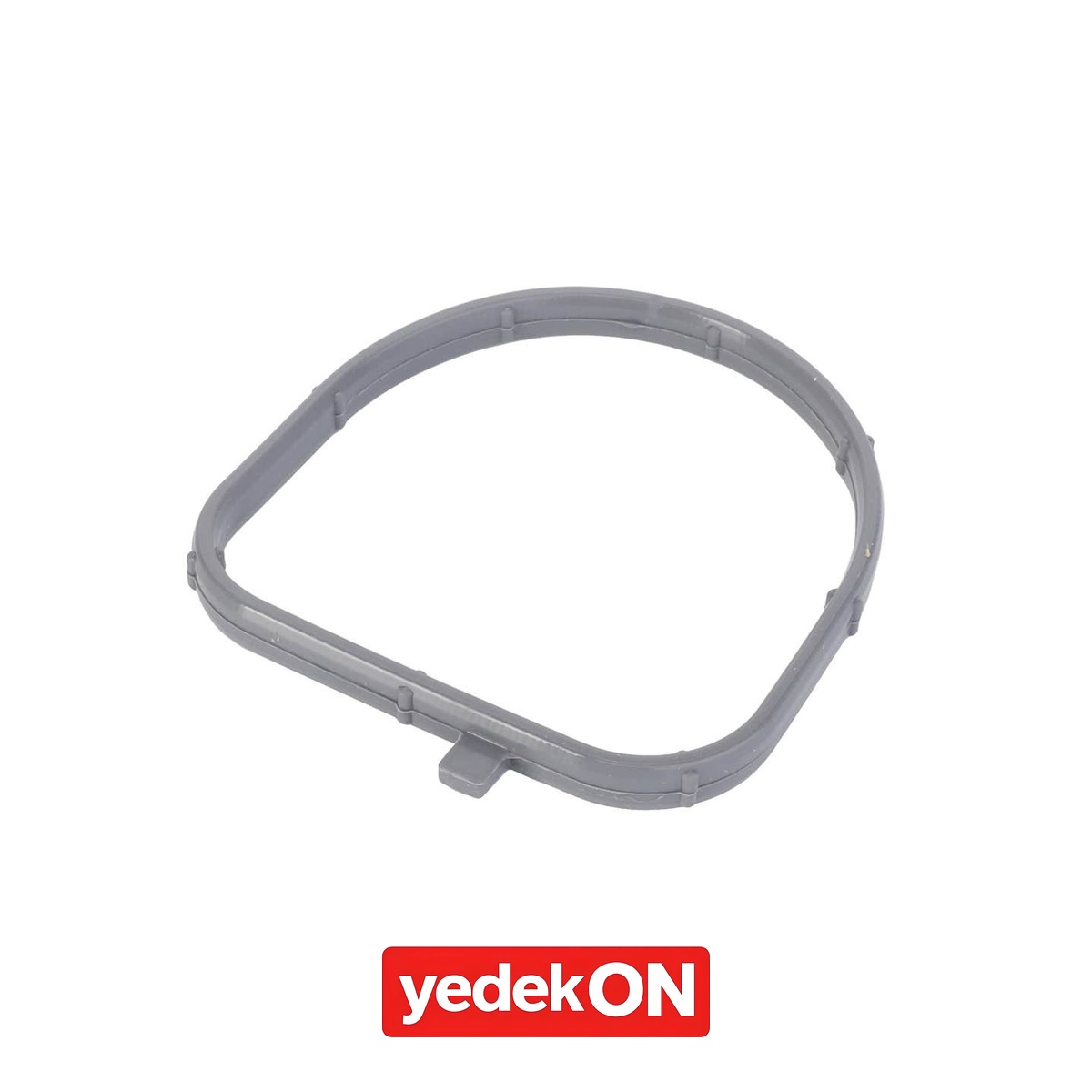 AGCO Keçe - Massey Ferguson | 4226381M1