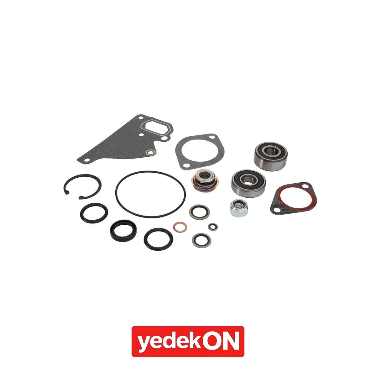 AGCO Su Pompası Tamir Kiti - Massey Ferguson / Fendt / Valtra | ACP0566440