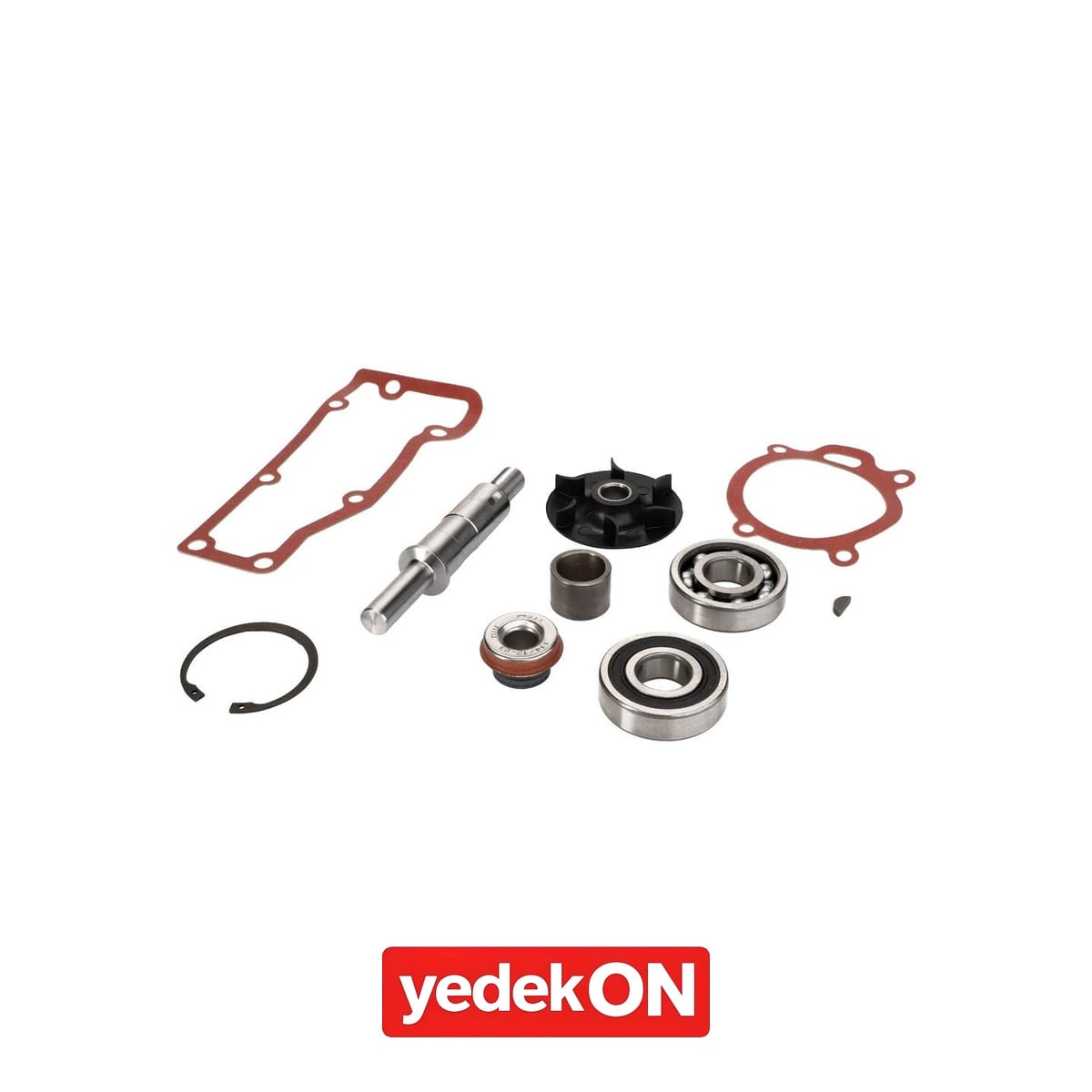 AGCO Onarım Kiti - AGCO | 4236120
