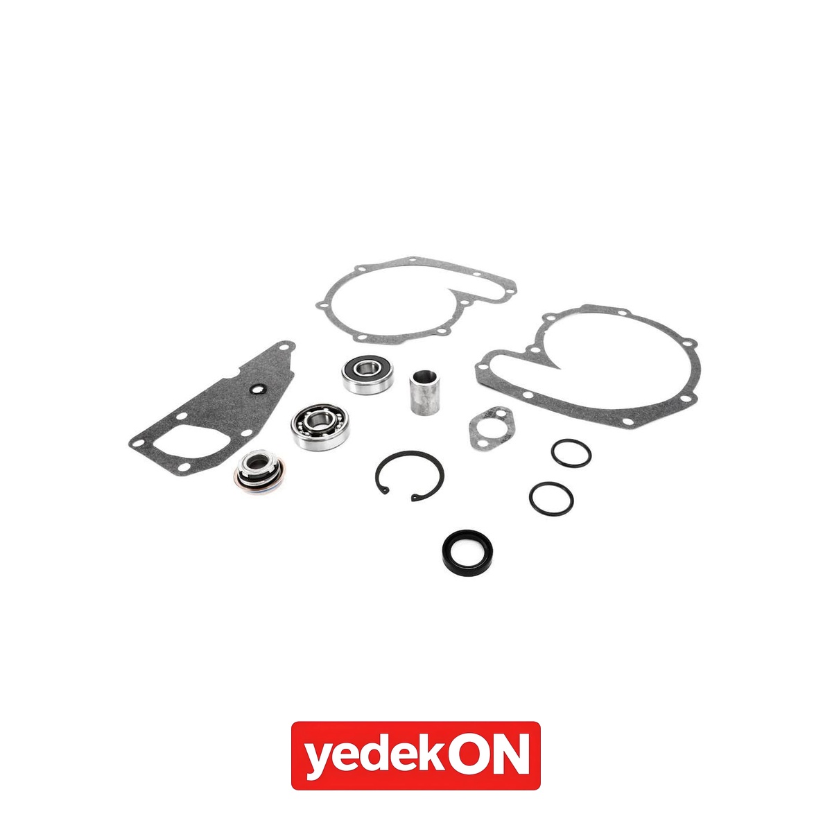 AGCO Su Pompası Tamir Kiti - Valtra | V836316441