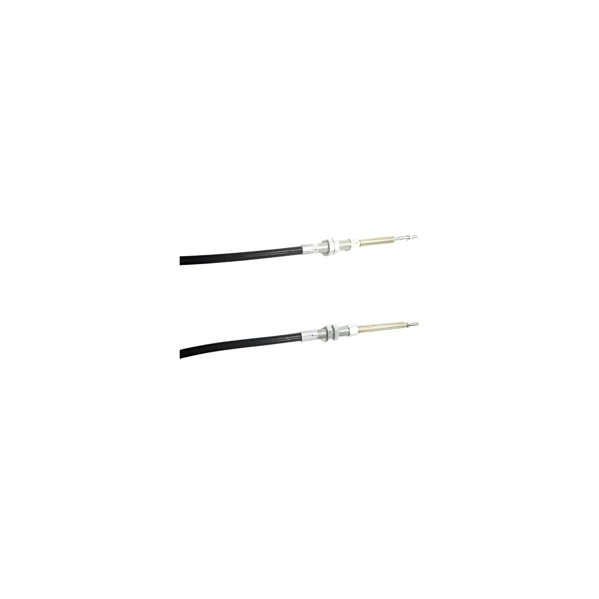9c96a064-fda6-404b-b4e4-e95fa6c7e78c-899632.jpg
