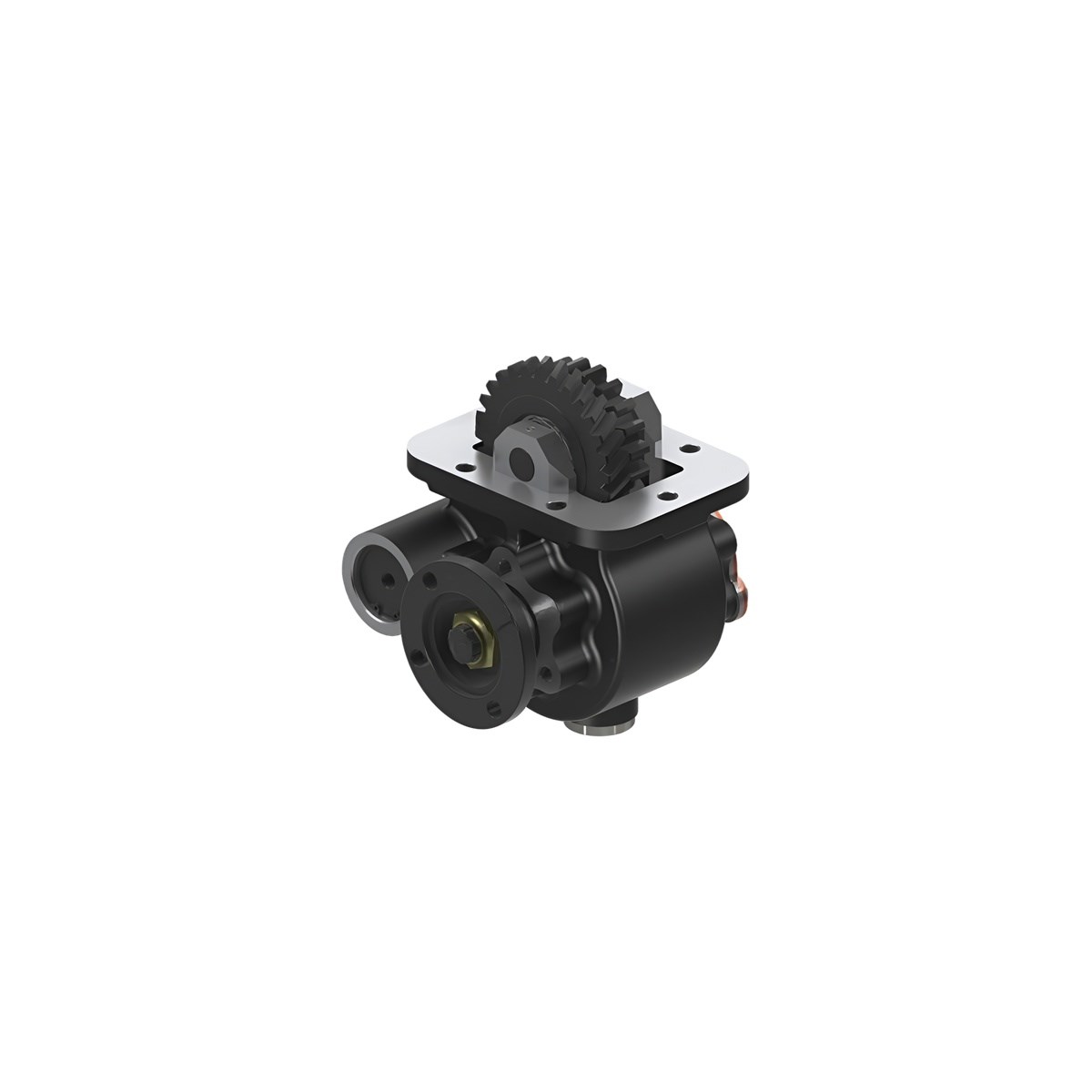 9ec55daa-5ed3-47e9-8af3-4868cc471c74-dd-9bb.jpg