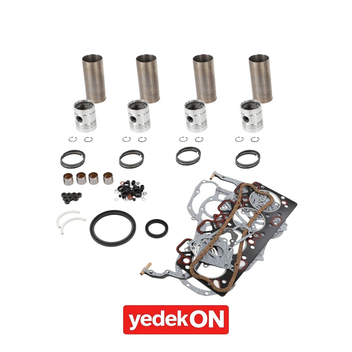 AGCO Motor Revizyon Kiti - AGCO | 3640496Z91