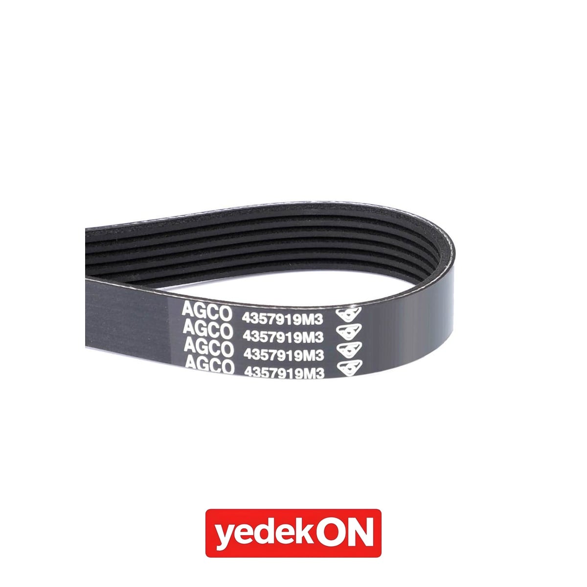 AGCO V-Kayış - Massey Ferguson | 4357919M3