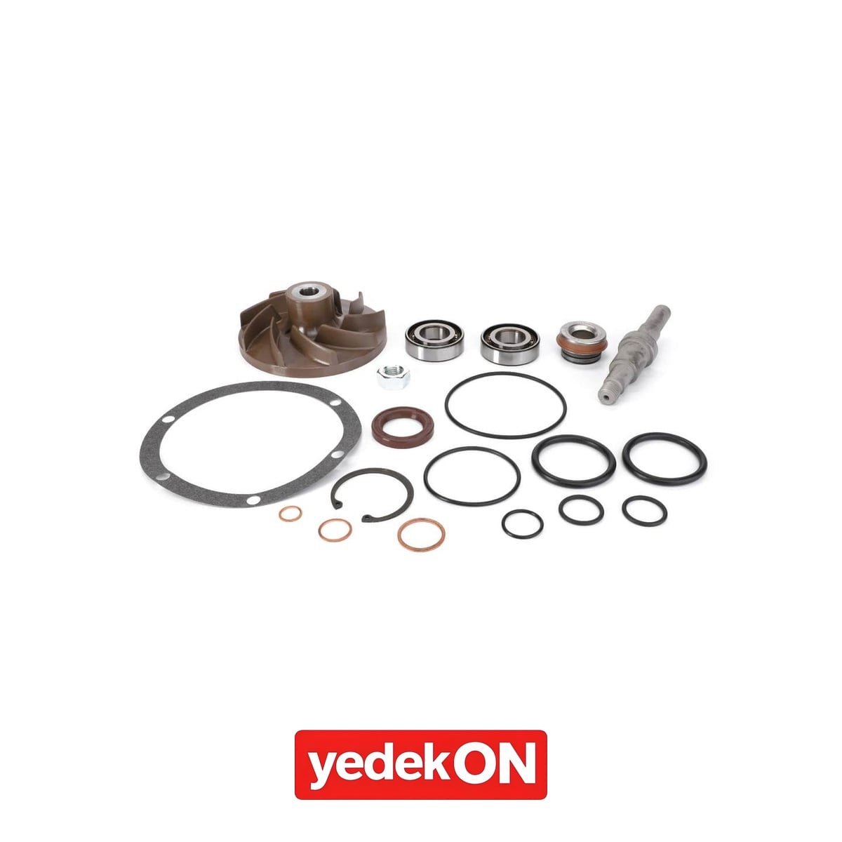 AGCO Su Pompası Tamir Kiti - Valtra | V836862271
