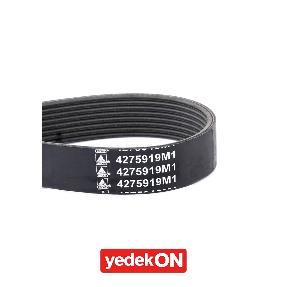 AGCO Serpantin Kayışı PK8 Profili - Massey Ferguson | 4275919M1
