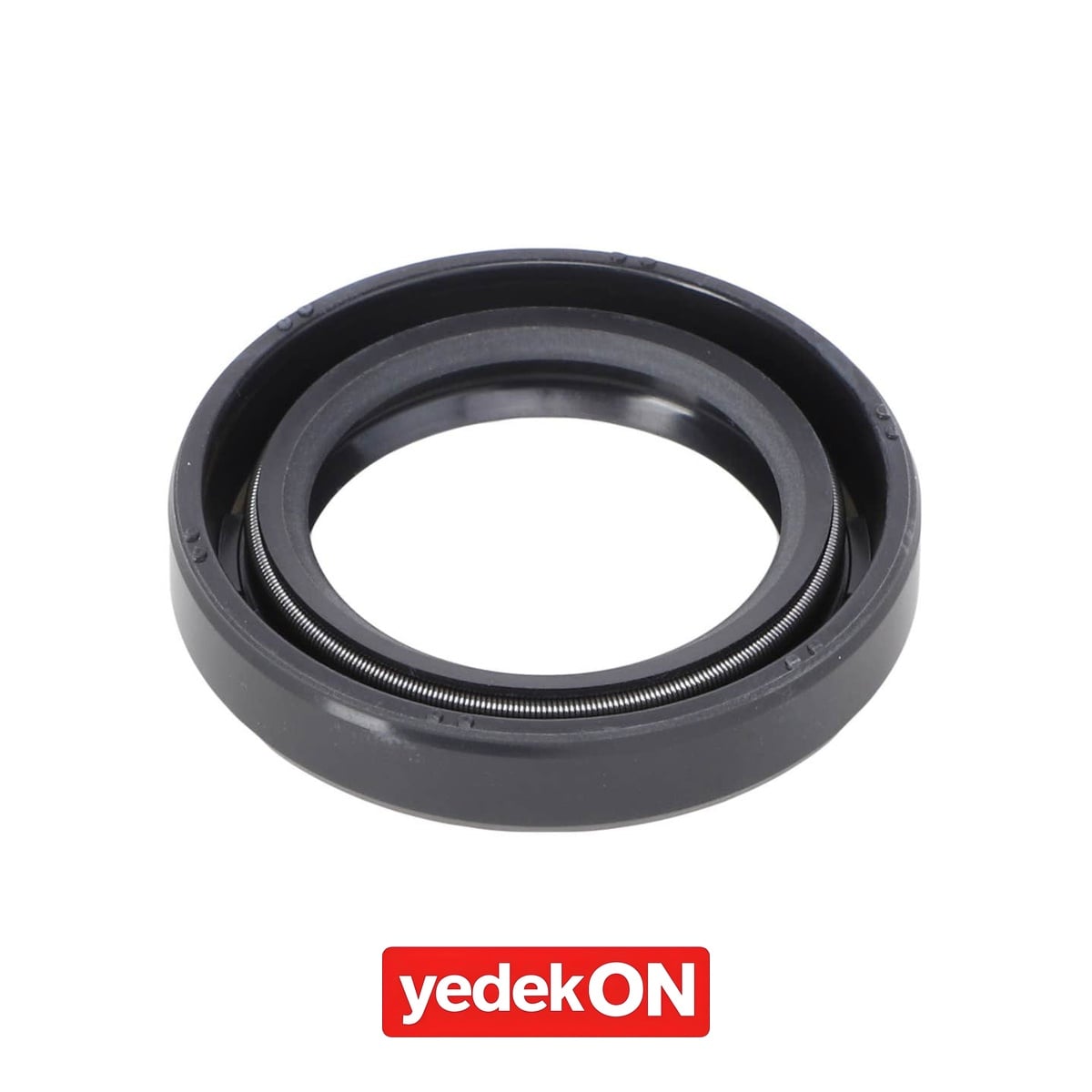 AGCO Keçe - Massey Ferguson | 3702491M1
