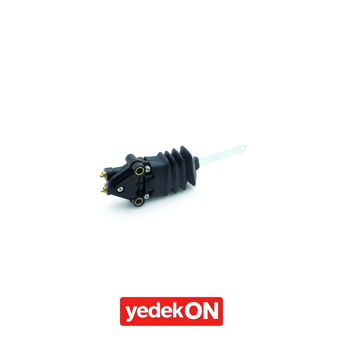 bc485d28-c1fb-44bd-8da5-5d2cfef67118-56d27a.jpg