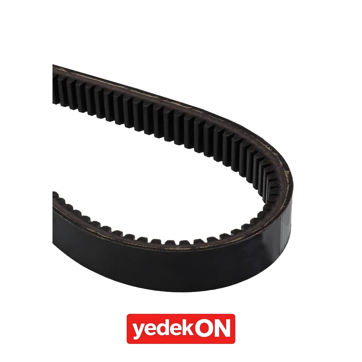 AGCO V-Kayış - AGCO | 064431T1