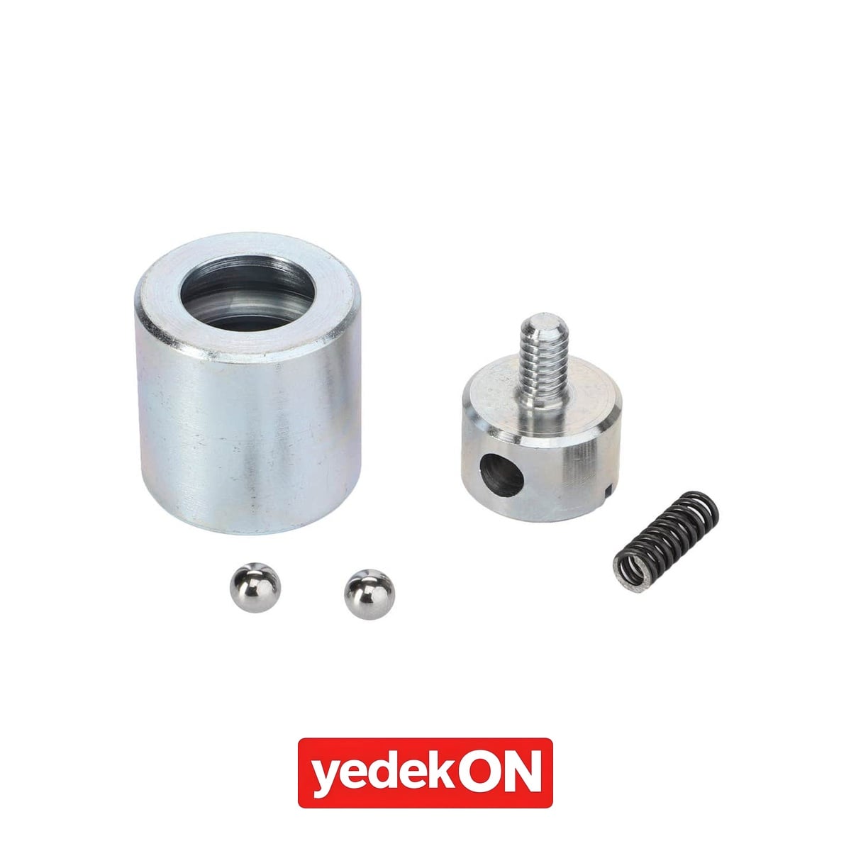 AGCO Yedek Parça Kiti - Massey Ferguson | 1672123M91