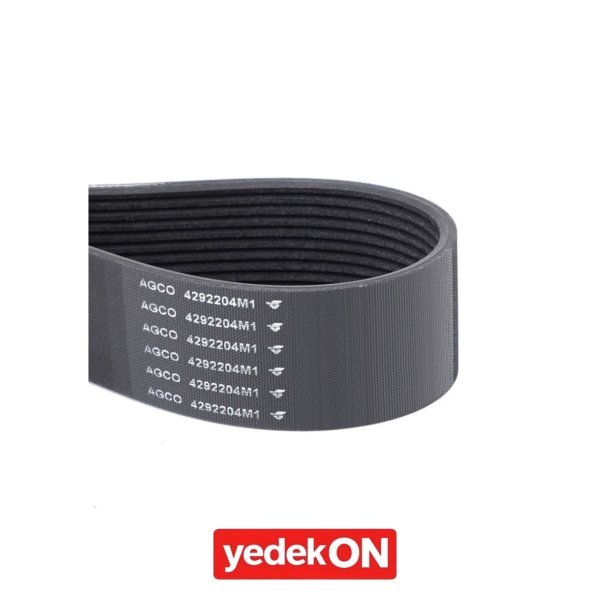 AGCO Serpantin Kayışı PK12 Profili - Massey Ferguson | 4292204M1