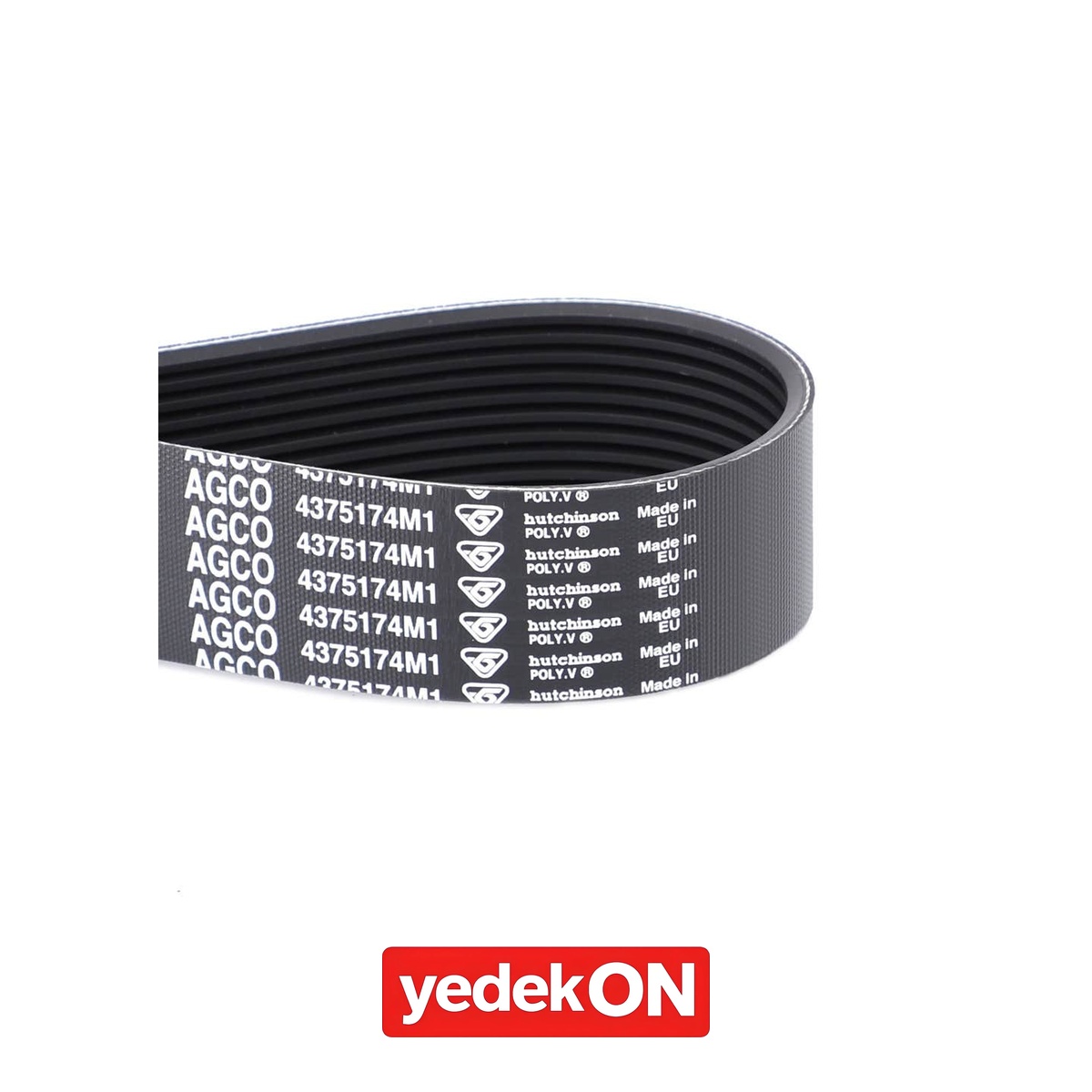 AGCO Kayış - Massey Ferguson | 4375174M1