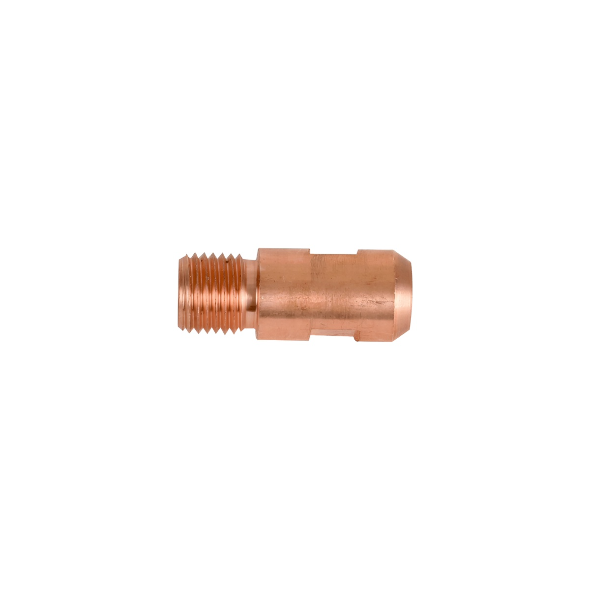 cb65ec05-c11e-4359-a54a-8d2dc6fba2b8--49d0-.jpg
