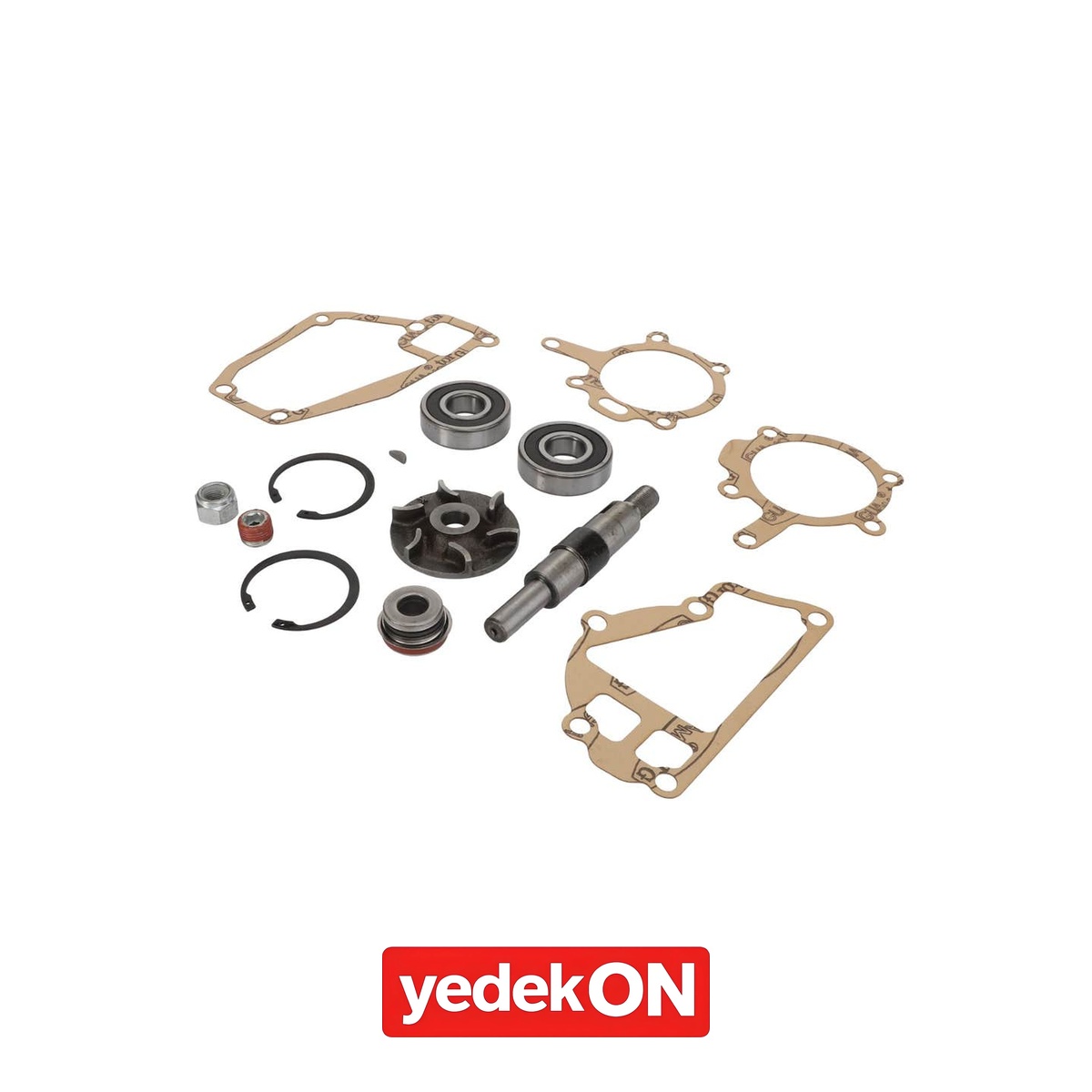 AGCO Onarım Kiti - Massey Ferguson | 3641333M91