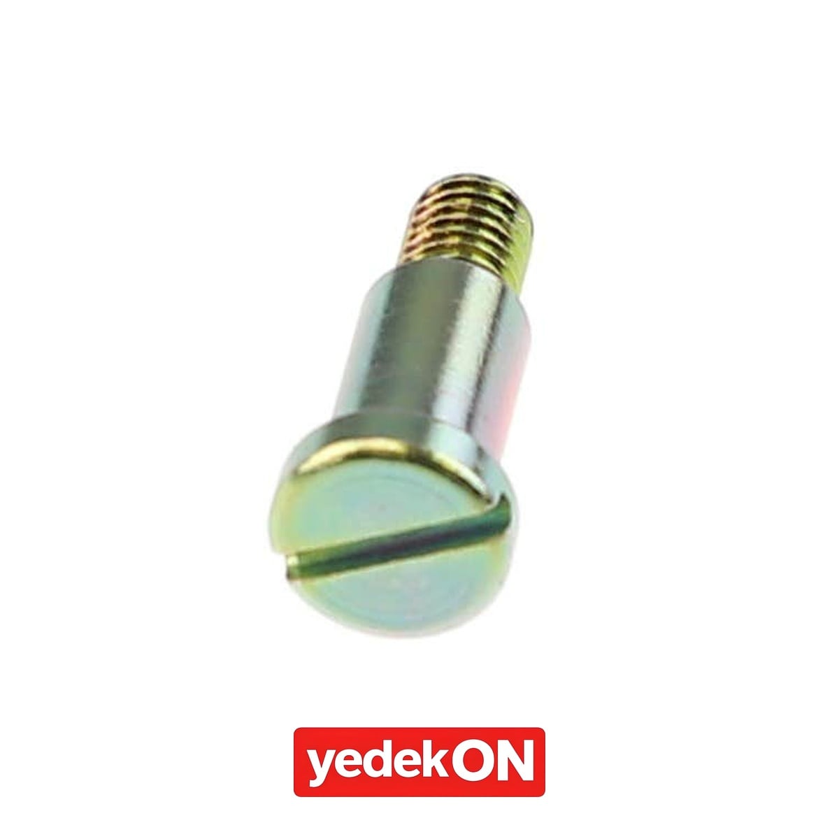 AGCO Pompaya Bağlı Piston - Massey Ferguson | 3052317M1