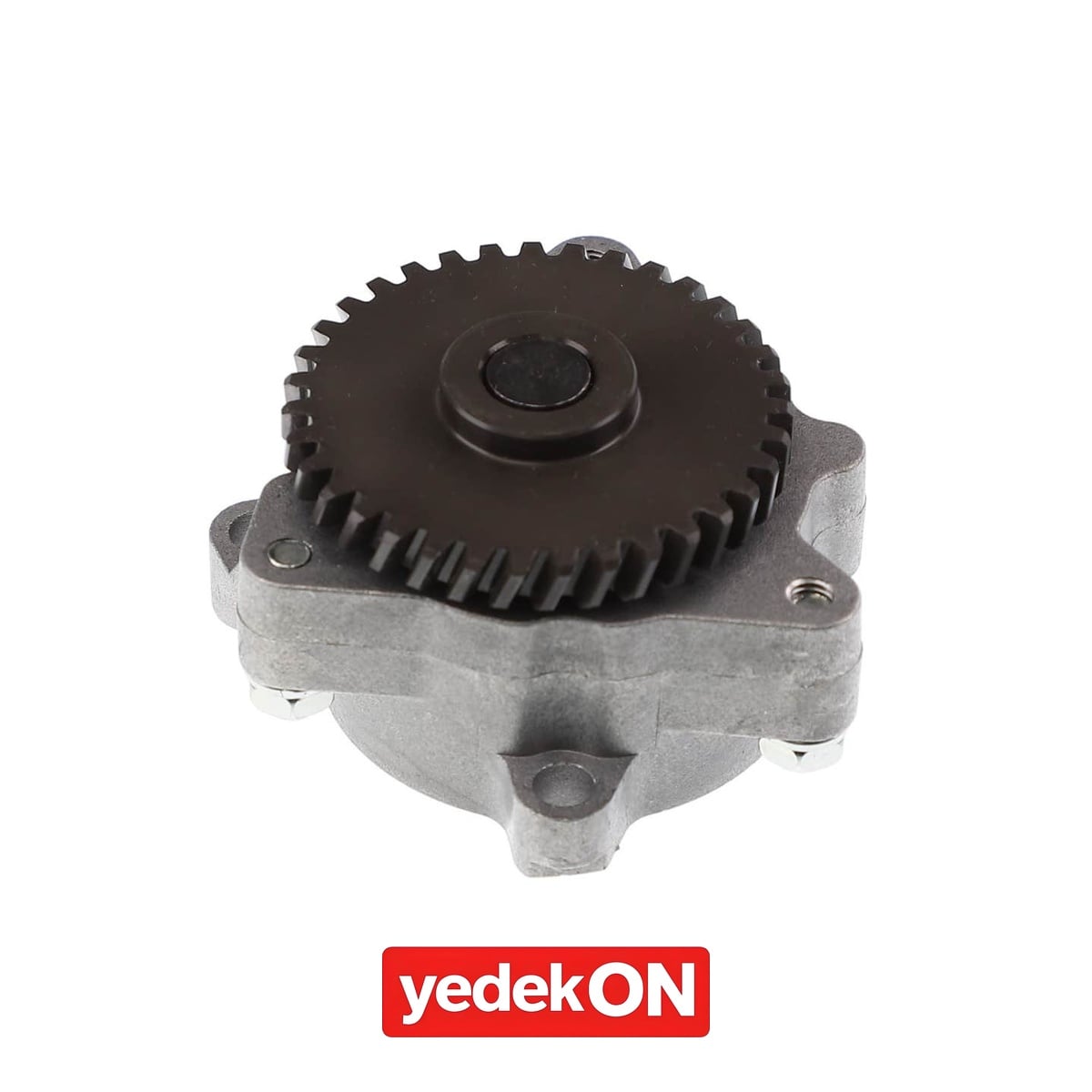 AGCO Yağ Pompası - Massey Ferguson | 3710631M93