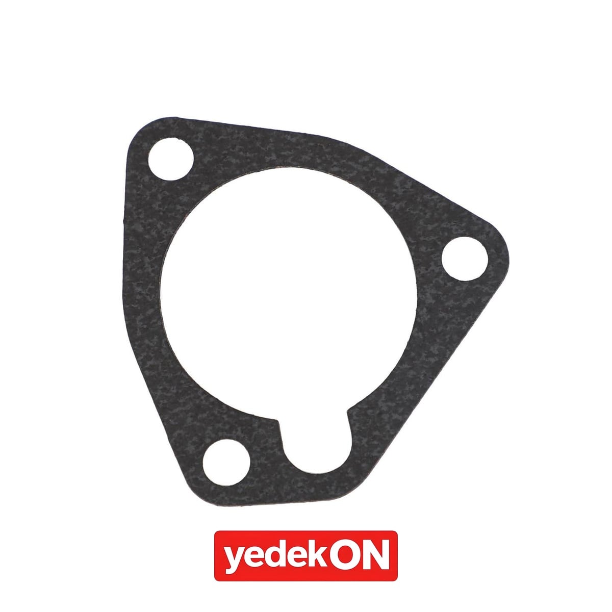 AGCO Eklem - Massey Ferguson | 3641884M1