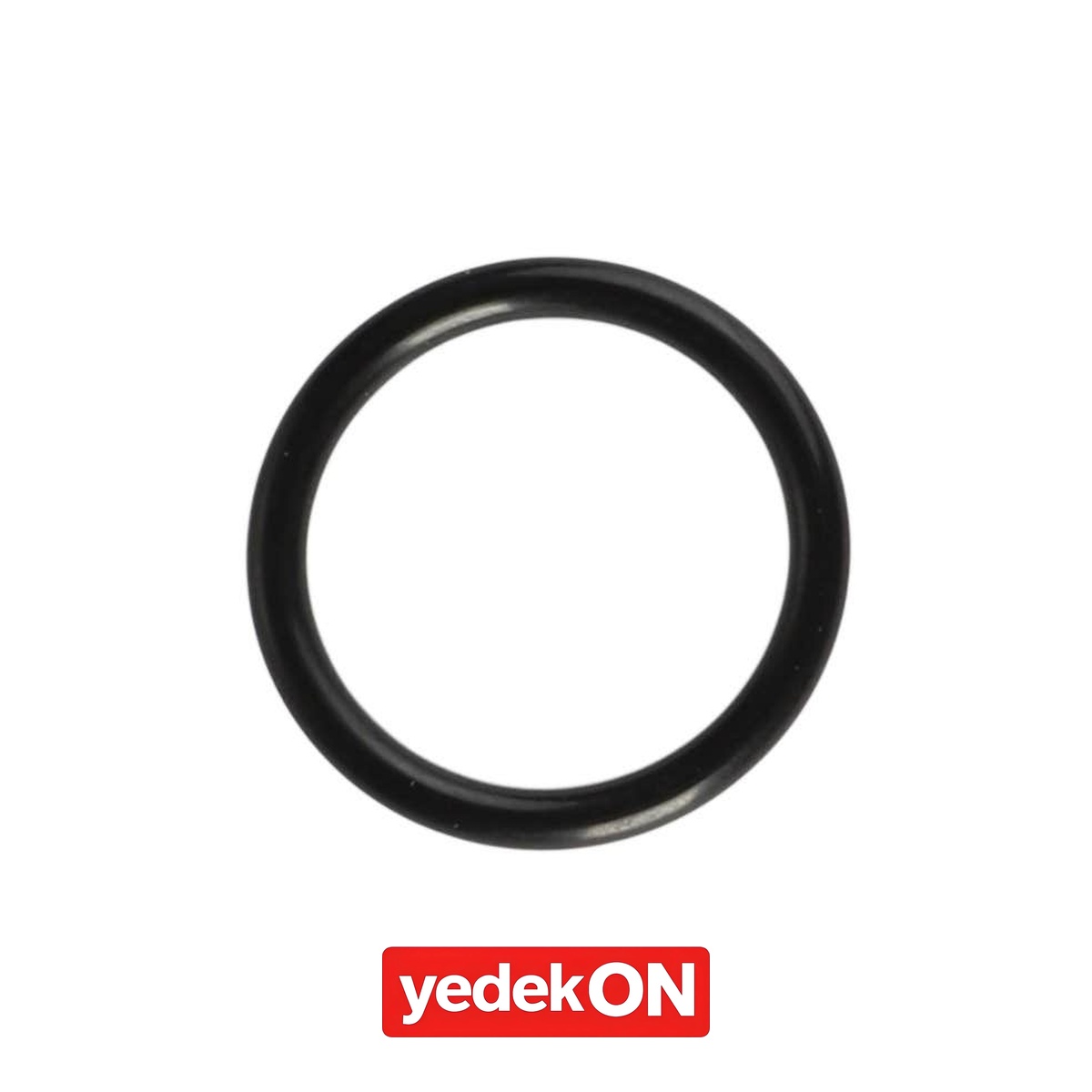 AGCO O-Ring - Fendt | F395301020420