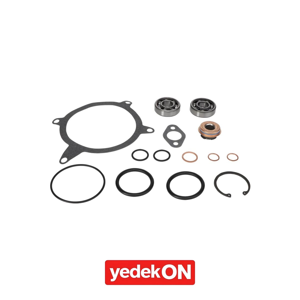 AGCO Su Pompası Tamir Kiti - Valtra | V837079693