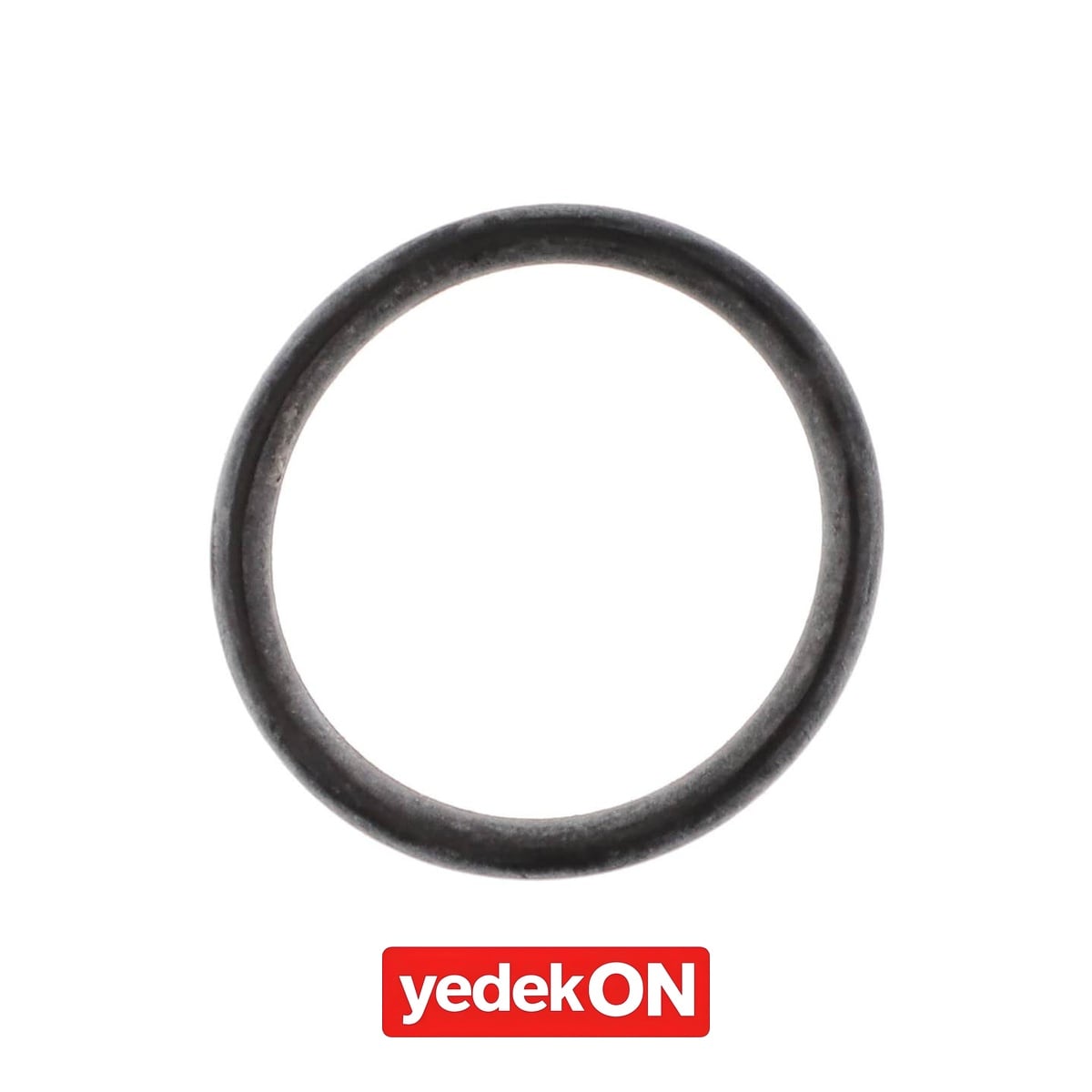 AGCO O-Ring - Massey Ferguson | 3444087M1