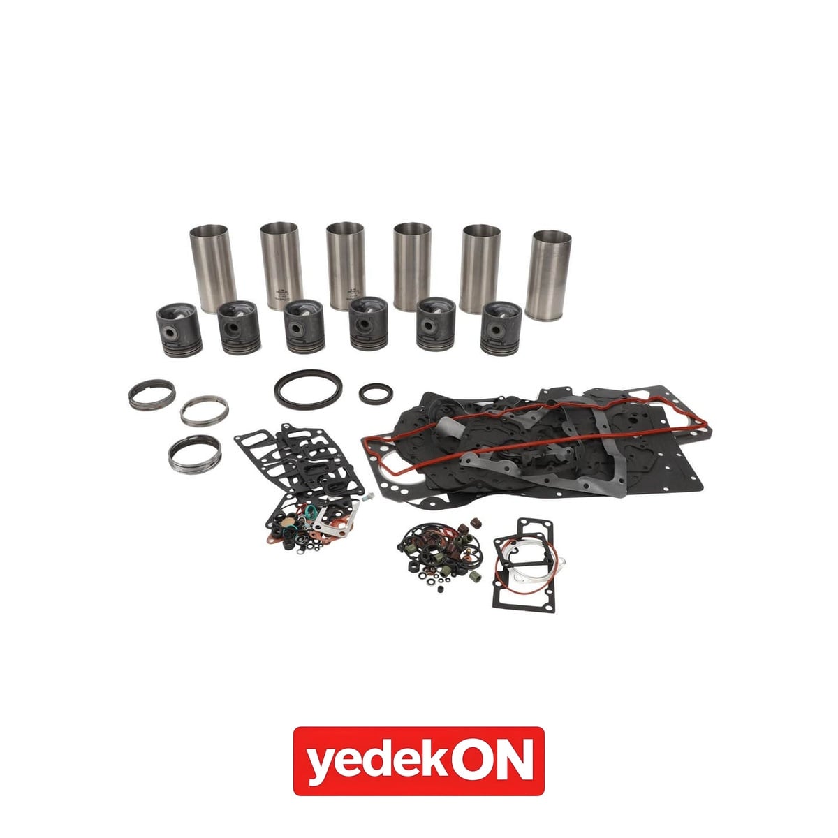 AGCO Motor Revizyon Kiti - Massey Ferguson | 4225405M91