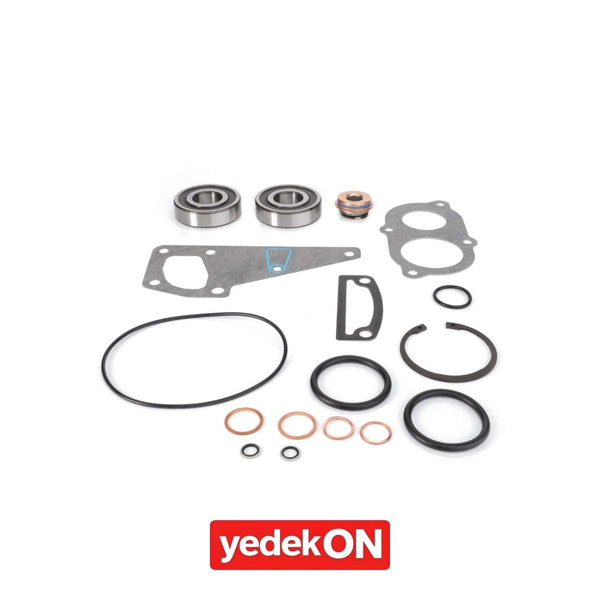 AGCO Su Pompası Tamir Kiti - Valtra | V837079838