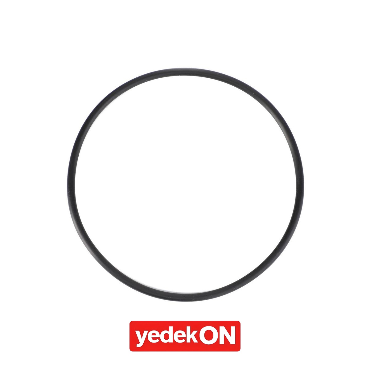 AGCO O-Ring - Massey Ferguson | 4223842M1