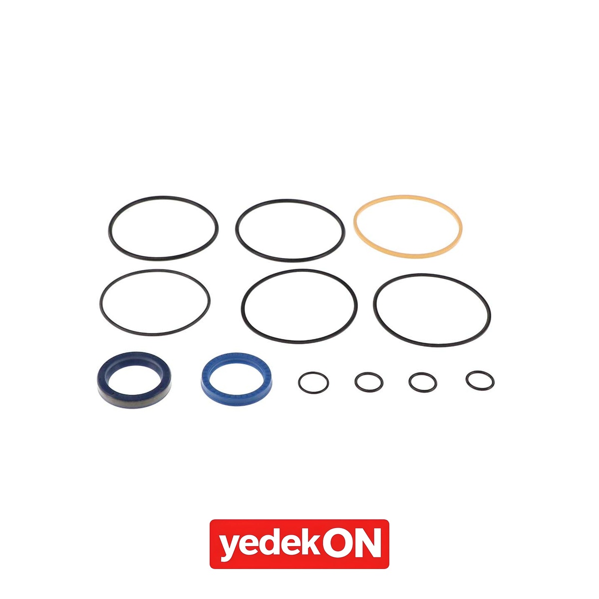 AGCO Keçe Takımı - AGCO | 1R61440