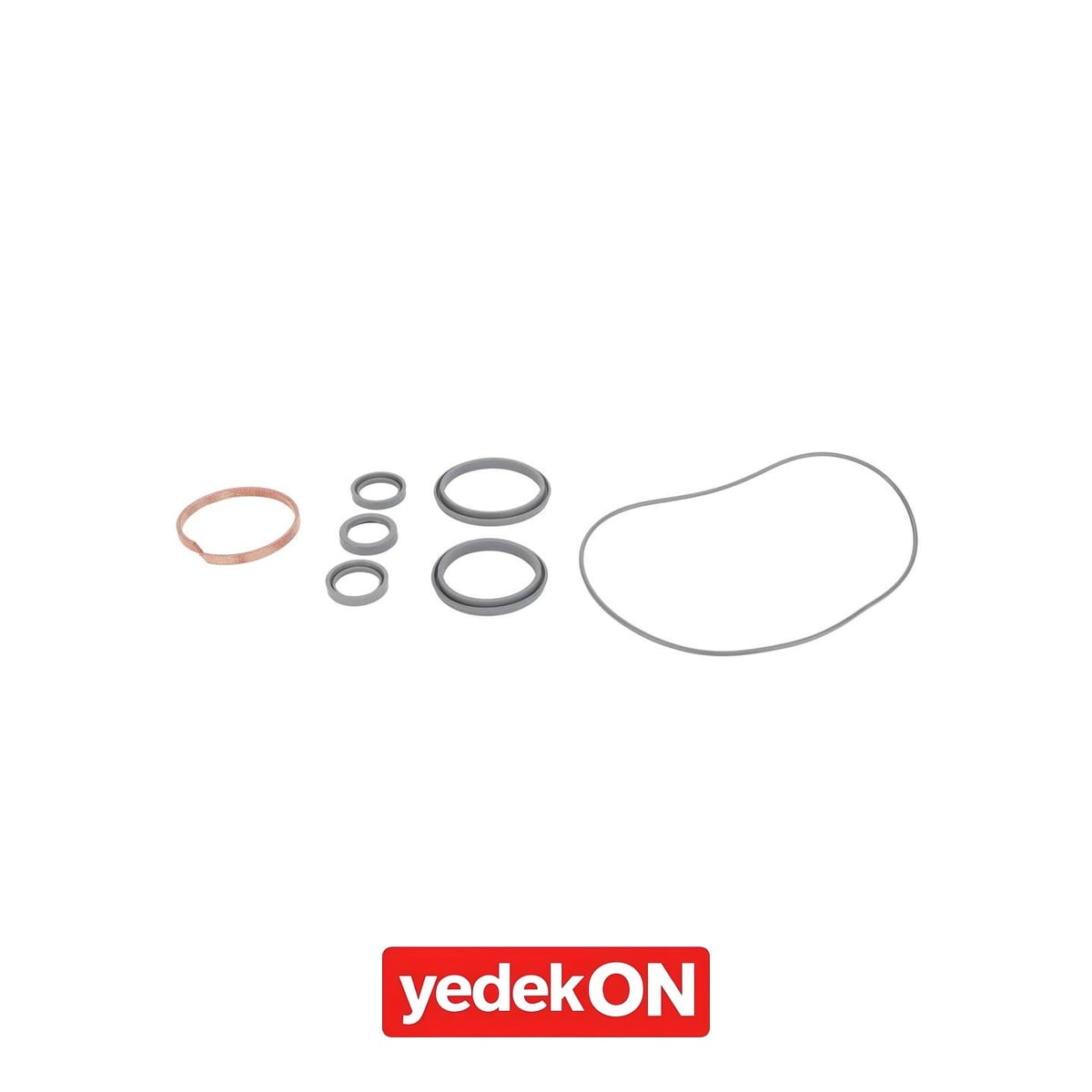 AGCO Keçe Takımı - Massey Ferguson | M219VF017007A