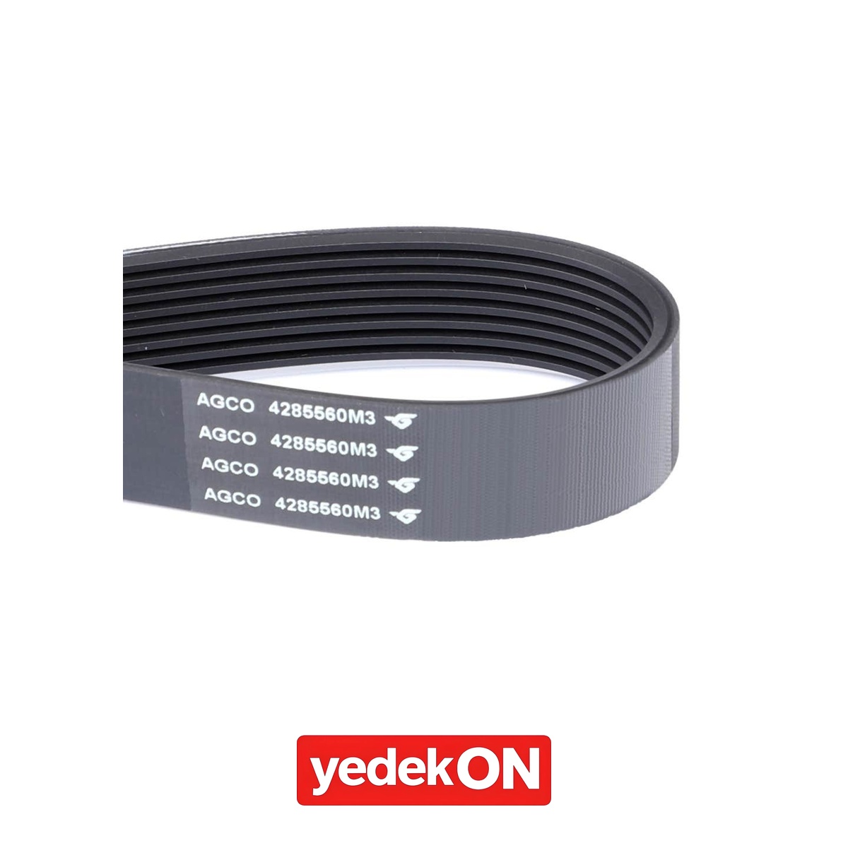 AGCO Kayış - Massey Ferguson | 4285560M3