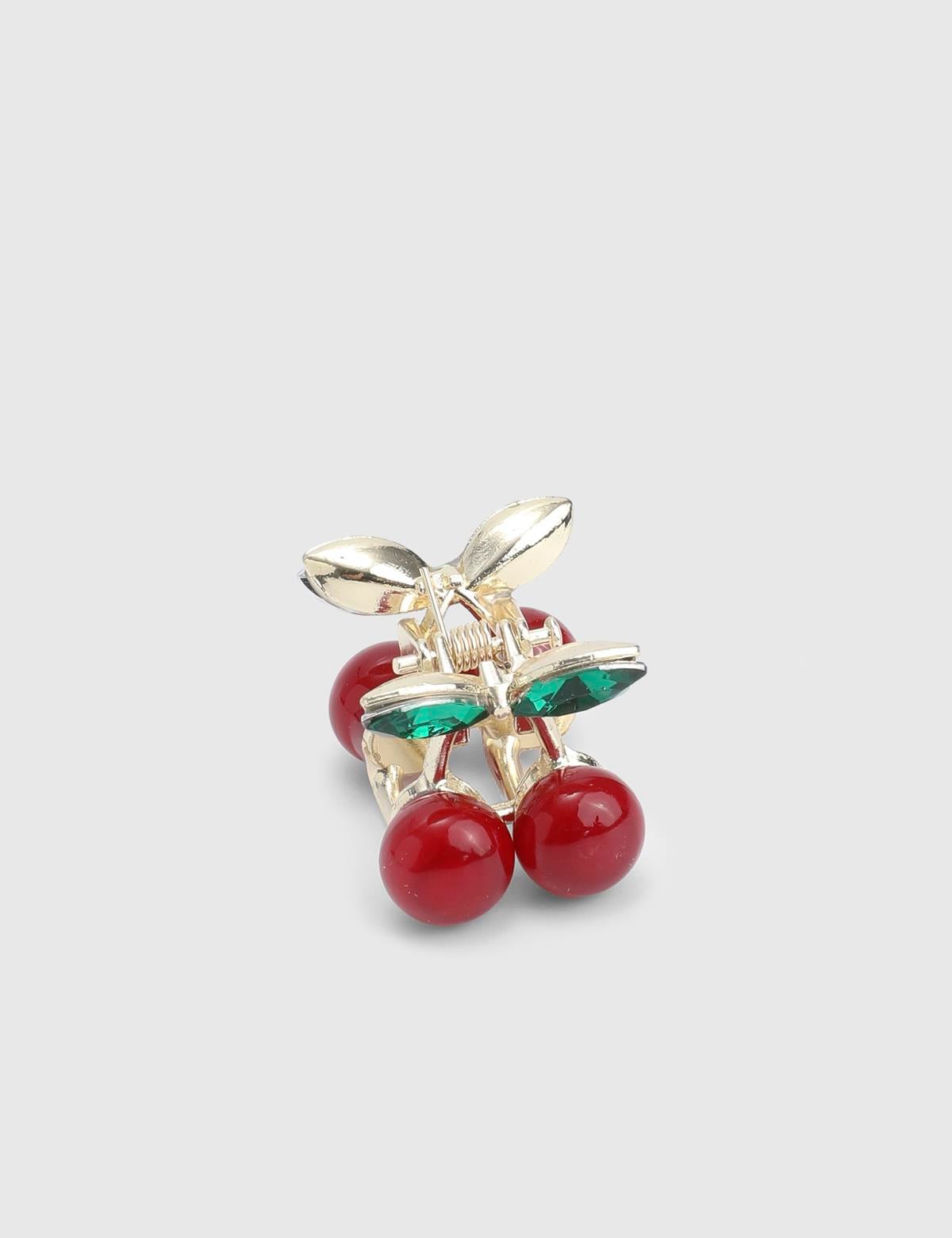 Briare Burgundy Women's Hair Claw Clip