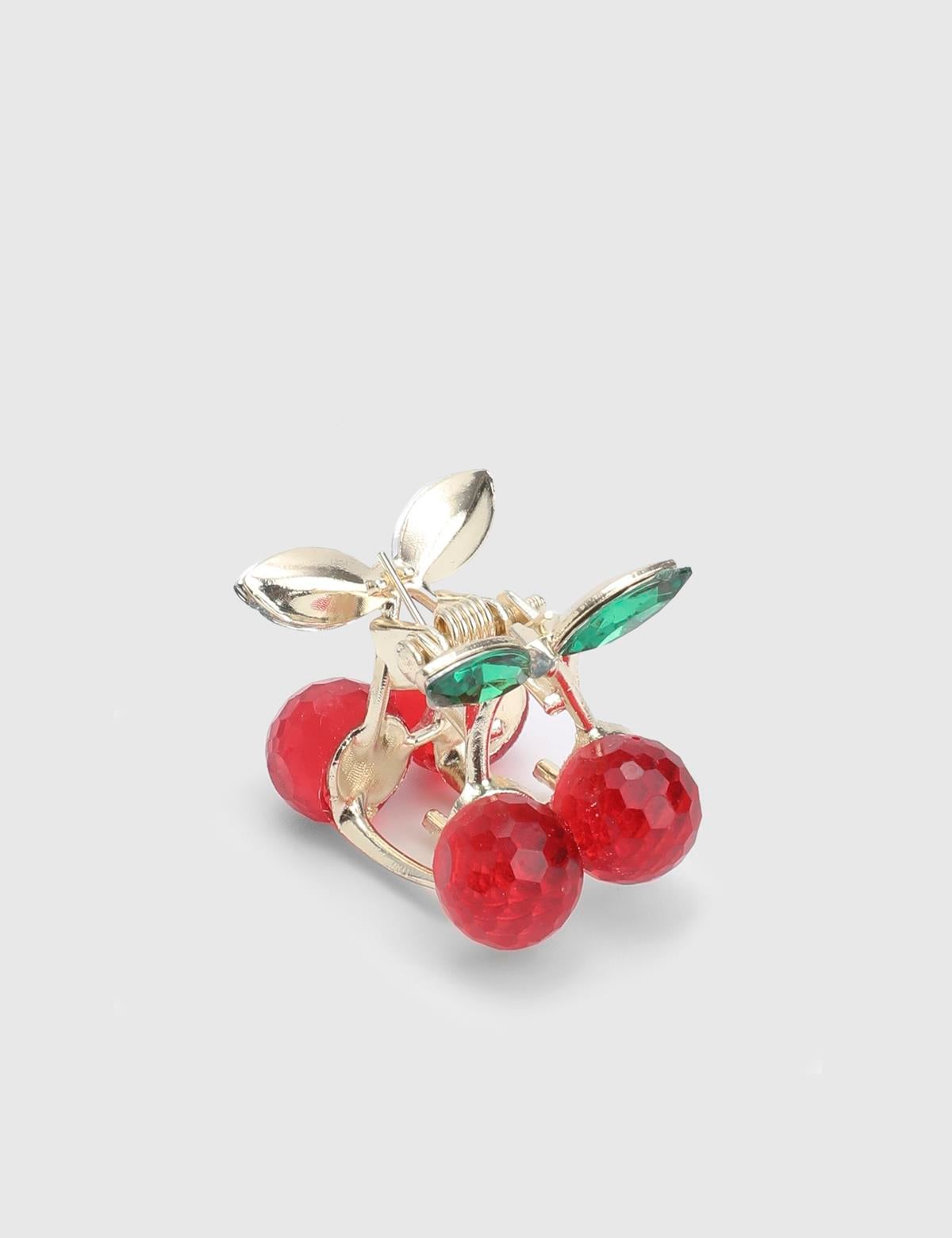 Briare Red Women's Hair Claw Clip