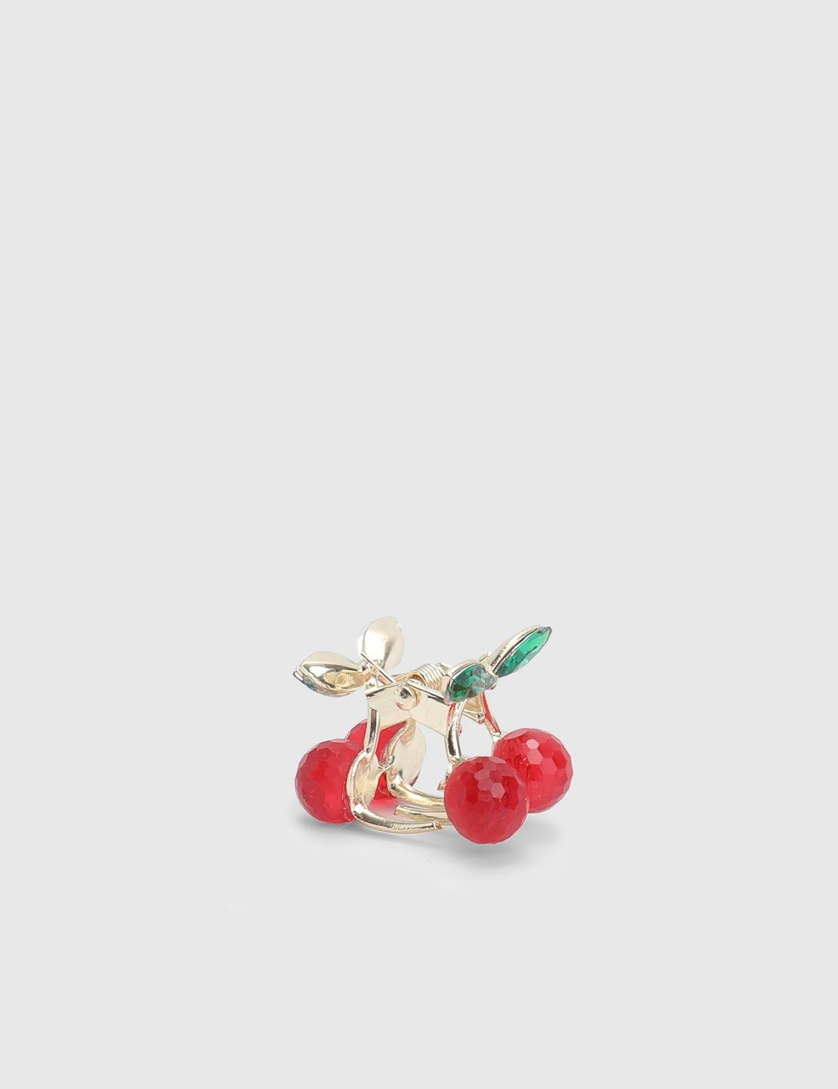 Briare Red Women's Hair Claw Clip
