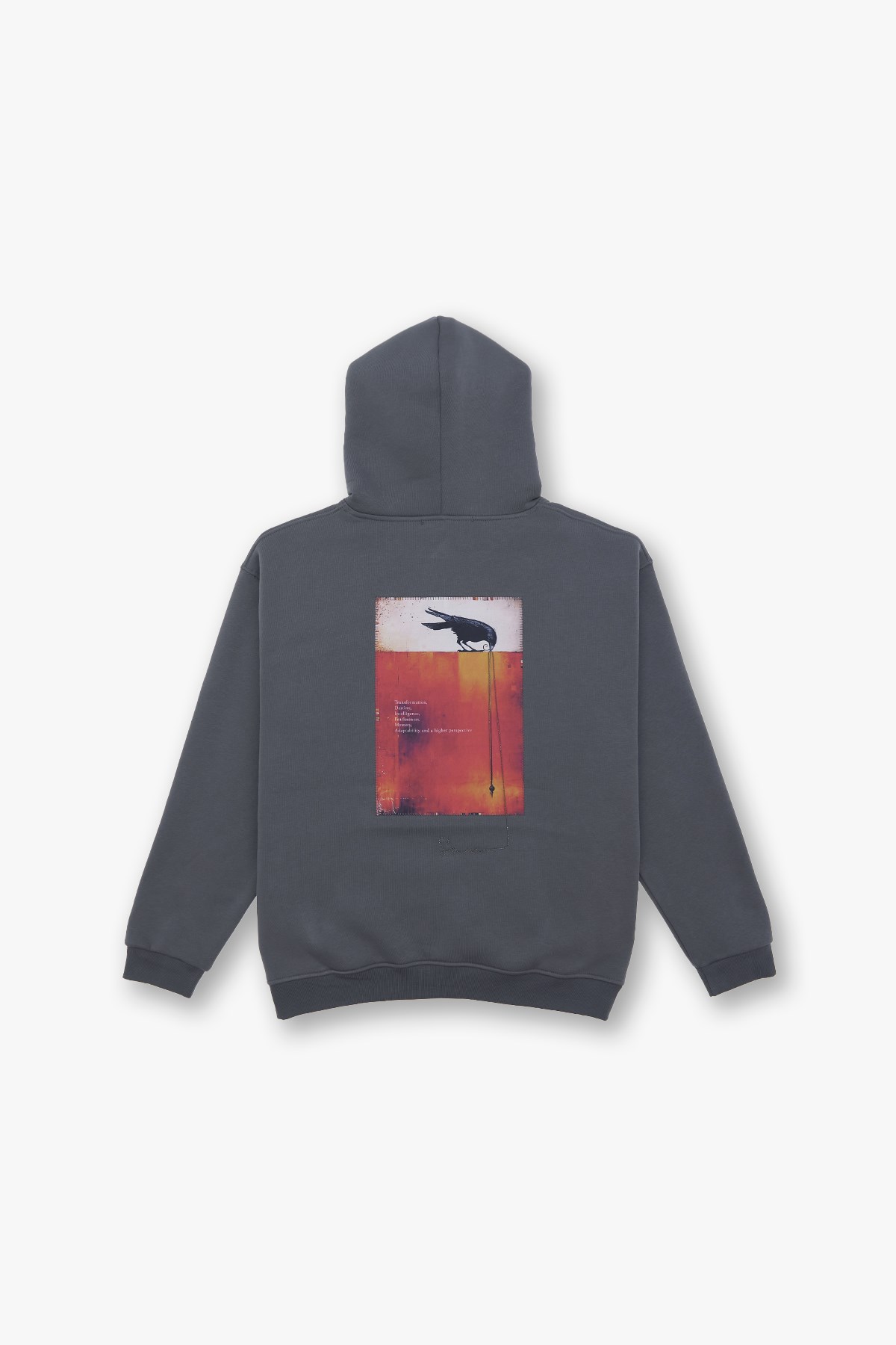 Crow of Transformation Oversize Sweatshirt Kadın Füme