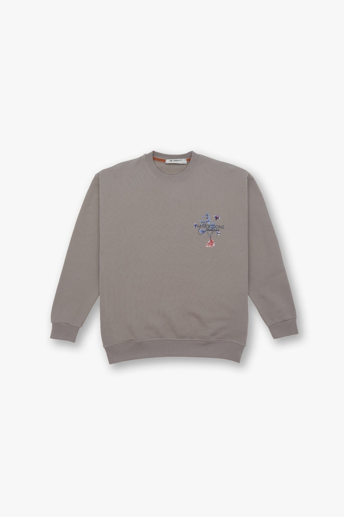 Evolving Oversize Sweatshirt Erkek Bisküvi