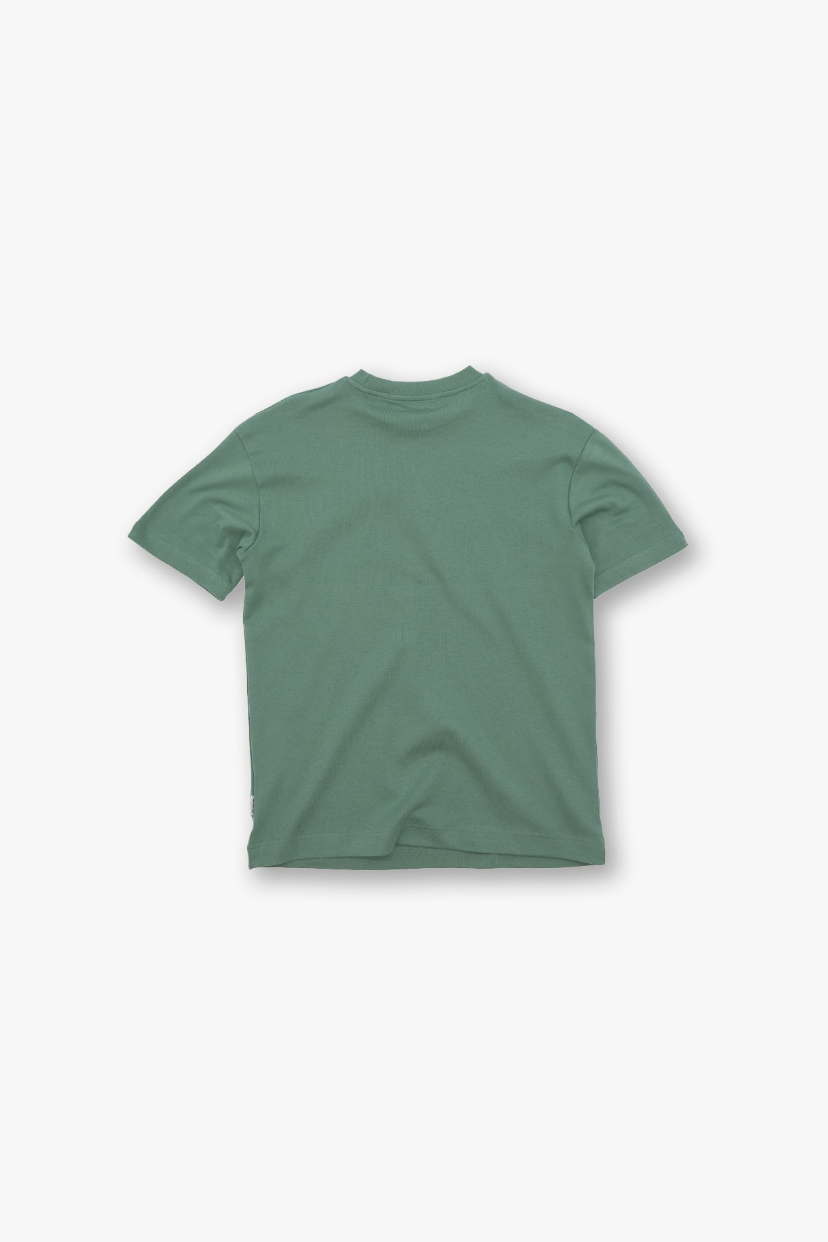 SAW Club Basic Regular Fit Tişört Kadın Yeşil