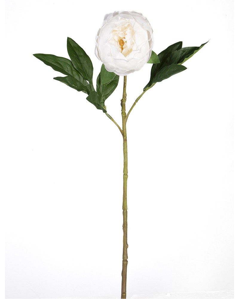 0105810 ŞAKAYIK DAL 58 CM