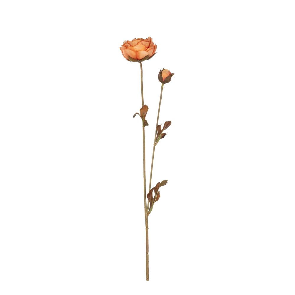 216­3696 RANUNCULUS SPRAY 63 CM